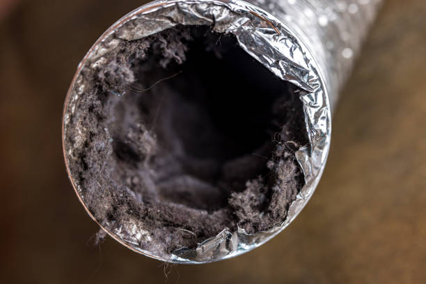 Best Professional Duct Cleaning Services  in Golden Beach, MD